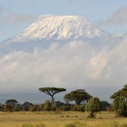 Kilimanjaro Tag wallpapers: Scene Mount Hot Nature Kilimanjaro