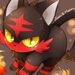 Litten is Lit image Litten HD wallpapers and backgrounds photos