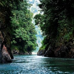 Pacuare River 1 Day Expedition