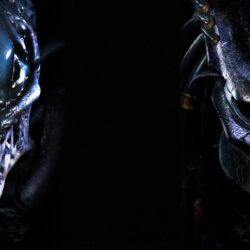 Pix For > Alien Vs Predator Requiem Wallpapers
