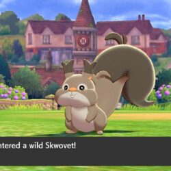 Pokémon Sword and Shield guide: How to EV train