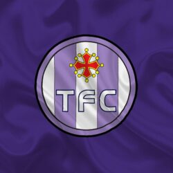 Download wallpapers Toulouse FC, France, Football club, Ligue 1