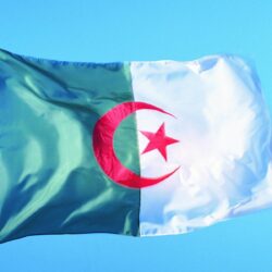 The flag of Algeria HD Wallpapers