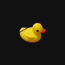 DUCK wallpapers by reniix