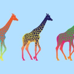 Neon giraffes wallpapers