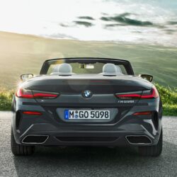 2019 BMW 8