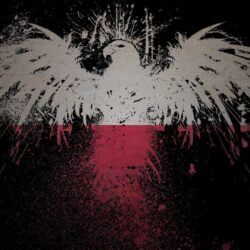 Eagles flags Polish Poland artwork White Eagle wallpapers