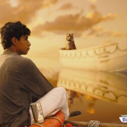 Life of Pi movie wallpapers 43759