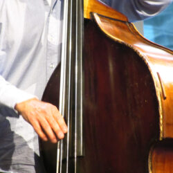File:Double Bass