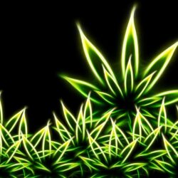 Download weed smoke wallpapers HD Photo Wallpapers Collection HD