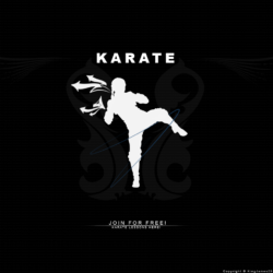 DeviantArt: More Like Karate Wallpapers by reboundmaster01
