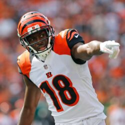 Aj Green Wallpapers Image Photos Pictures Backgrounds