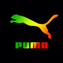 Puma Wallpapers HD