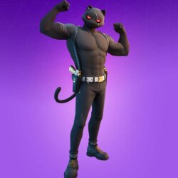 Meowscles Fortnite wallpapers