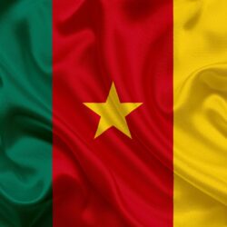 Download wallpapers Cameroon flag, Africa, Cameroon, national