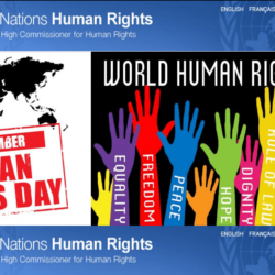 human rights day Gallery