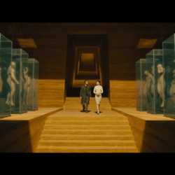 Blade Runner 2049 Official Trailer Wallpapers