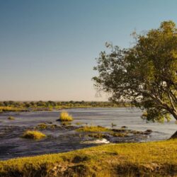 Lower Zambezi National Park – Comp