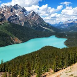 National park canada peyto lake rocky mountains wallpapers