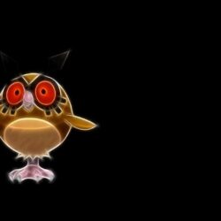 Hoothoot Pokemon Wallpapers For Desktop ~ Games for HD 16:9 High