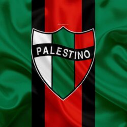 Download wallpapers CD Palestino, 4k, Chilean football club, silk