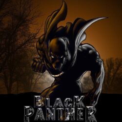 Black Panther Marvel iPhone Wallpapers