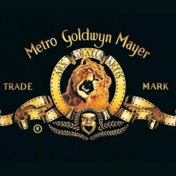 Mike Winston: Long MGM Holdings