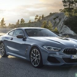 2019 BMW 8 Series Pictures, Photos, Wallpapers.