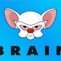 Pinky And The Brain Flag Wallpapers – Dave’s Geeky Ideas
