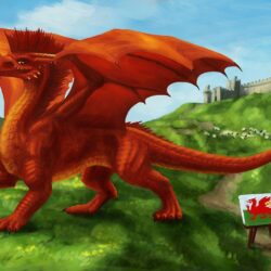 Flag Wales Dragon Wallpapers