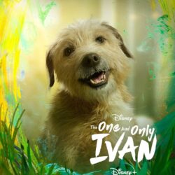 The One and Only Ivan Poster 9: Full Size Poster Image