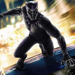 Black Panther Film Wallpapers 4K HD Free Download For Desktop