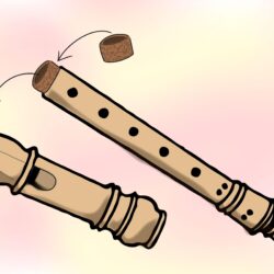 How to Take Care of Your Recorder: 9 Steps