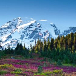 Wallpapers Mount Adams, Mount Rainier National Park, 4K, Nature,