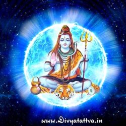 Animated Lord Shiva Lingam Wallpapers Hd ✓ The Galleries of HD
