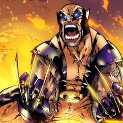 Wolverine vs Ultimate Spider
