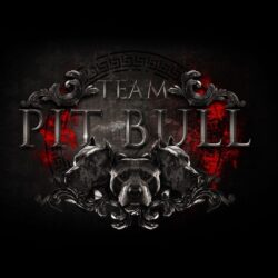 Image For > Pit Bulls Wallpapers