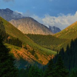 Wallpapers trees, mountains, gorge, Kyrgyzstan, Kyrgyzstan, Jety