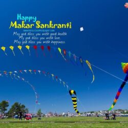 Makar Sankranti Festival Wallpapers, Image, Photos Download