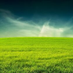 Green Hill HD Wallpapers