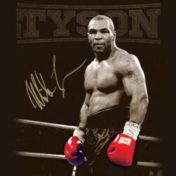 Mike Tyson Hd Live Wallpapers Tyson Is An American Professional Boxer