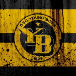 BSC Young Boys Wallpapers 12