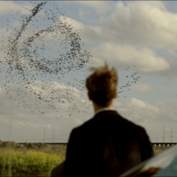 1000+ image about True Detective