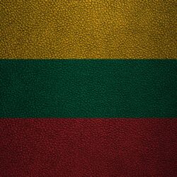 Download wallpapers Flag of Lithuania, 4k, leather texture