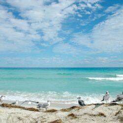 Florida Beaches Image