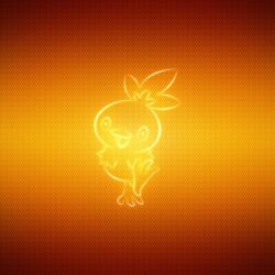 Torchic Wallpapers