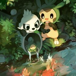 Chespin & Pancham & Budew & Magikarp