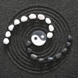 Yin And Yang Wallpaper Backgrounds with Wallpapers High Quality