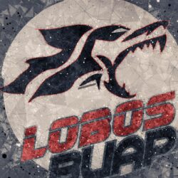 Download wallpapers Lobos BUAP, Benemerita Universidad Autonoma de