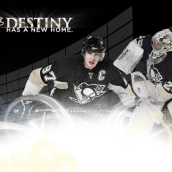 Pittsburgh Penguins Desktop Wallpapers Free 26194 Image